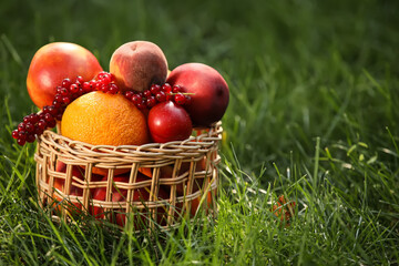 Wicker basket with fresh fruits on grass