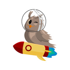 School owls. Color cute birds studying astronomy in school. Teaching education cartoon vector characters