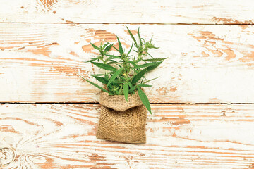 Sack with hemp leaves on white wooden background