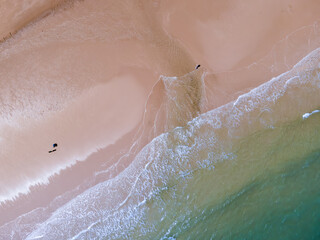 Fototapeta premium Aerial view of sandy beach and ocean with waves