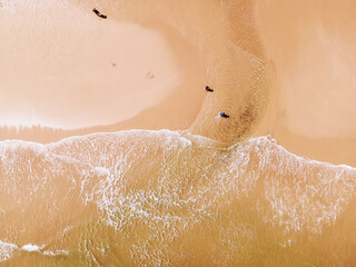 Fototapeta premium Aerial view of sandy beach and ocean with waves