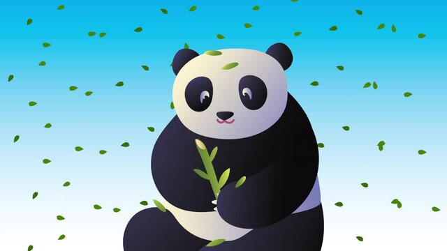 asian culture panda eating bamboo animation