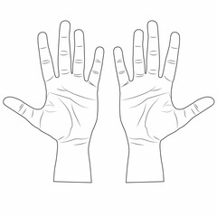 Obraz premium flat of the hand line vector illustration