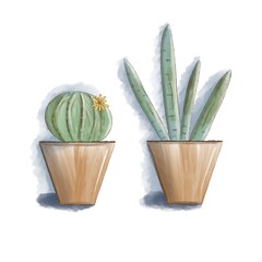 Home cacti in a pot stand