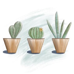 Home cacti in a pot stand