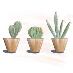 Home cacti in a pot stand