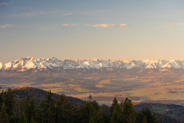 beautiful view of the snow-capped mountains from the spring meadows covered with flowers and grass