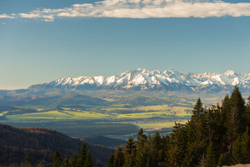 beautiful view of the snow-capped mountains from the spring meadows covered with flowers and grass