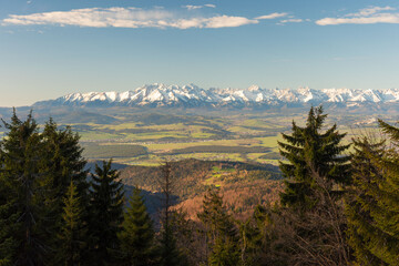 beautiful view of the snow-capped mountains from the spring meadows covered with flowers and grass