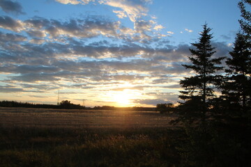 Sunset In The Field, Pylypow Wetlands, Edmonton, Alberta