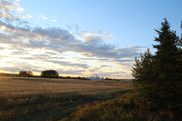 Fototapeta na wymiar Sunset In The Field, Pylypow Wetlands, Edmonton, Alberta