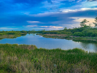 Fototapeta na wymiar Louisiana Swamp sunset silhouette and reflections