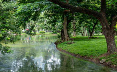 Lumphini Park in downtown Bangkok Thailand