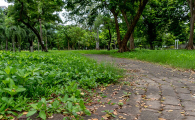 Lumphini Park in downtown Bangkok Thailand