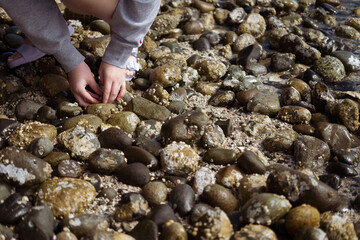 hands holding stones
