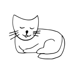 cat icon. hand drawn doodle. vector, scandinavian, nordic, minimalism, monochrome. pet, animal, cute, funny.