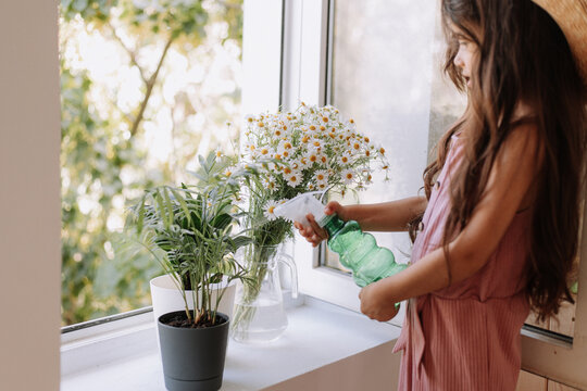 happy kid girl taking care of houseplants at home, dressed in stylish dusty pink outfit. the concept of home gardening. High quality photo