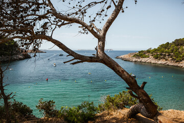 Beautiful beach with very clean and azure water on the mediterranean sea in the island of Ibiza, Spain