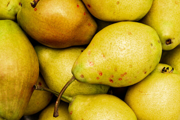 harvest of ripe juicy pears close - up background backdrop