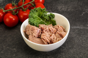 Canned tuna fillet in the bowl
