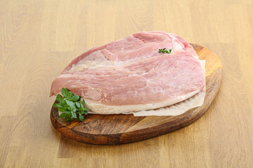 Piece of the raw pork meat