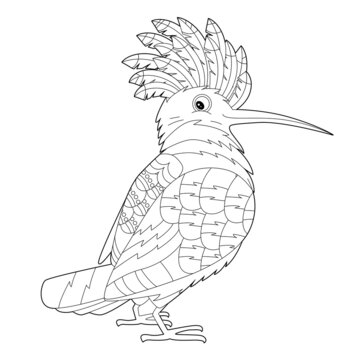 recommend clip art: Contour linear illustration for coloring book with decorative pretty hoopoe. Beautiful cute bird,  anti stress picture. Line art design for adult or kids  in zen-tangle style, tatoo and coloring page.