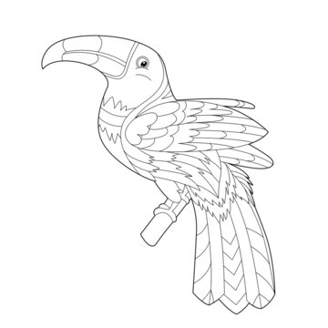 Contour linear illustration for coloring book with decorative pretty toucan. Beautiful cute bird,  anti stress picture. Line art design for adult or kids  in zen-tangle style, tatoo and coloring page.