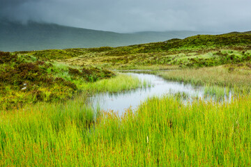 Along the West highland Way in Scotland. In the Glen Coe Valley, a pool of standing water under a gray sky. The rain is coming.