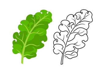 Kale color cartoon illustration and outline. Vector green vegetable icon. - obrazy, fototapety, plakaty