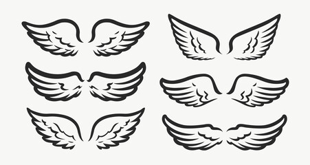 Set of wings icons. Design elements for logo, label, emblem