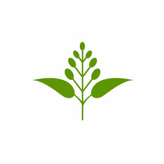 Eucalyptus leaves logo vector template design illustration