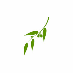 Obraz premium Eucalyptus leaves logo vector template design illustration