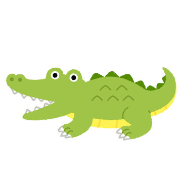 ワニ Images Browse 1 421 Stock Photos Vectors And Video Adobe Stock