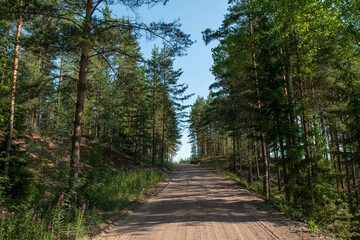 Fototapeta premium empty gravel road on a hill in the forest 