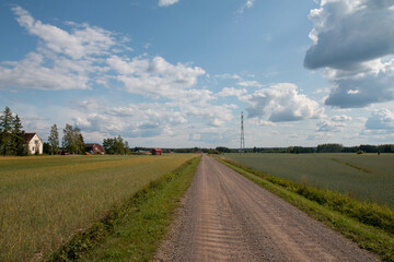 Fototapeta na wymiar empty country road in the agricultural fields