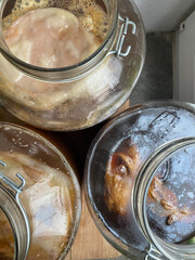 Raw fermented homemade alcoholic or non alcogolic kombucha superfood. Ice tea with healthy natural probiotic in large glass jars, fermenting