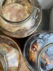 Raw fermented homemade alcoholic or non alcogolic kombucha superfood. Ice tea with healthy natural probiotic in large glass jars, fermenting