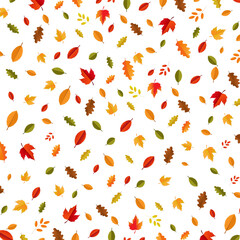 Autumn Poster With Border And Autumn Leaves, Vector Illustration