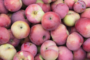 Ripe red apples close-up, fresh harvest