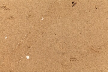 Sand texture. Sandy beach for background. Top view. Natural sand stone texture background. sand on the beach as background. Wavy sand background for summer designs