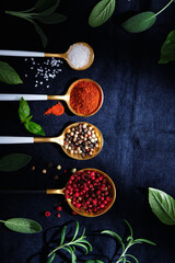Obraz na płótnie Canvas Spices and herbs. Variety of spices and mediterranean herbs.