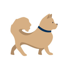 Cute little dog for a walk. Pets. Vector illustration in a flat style.