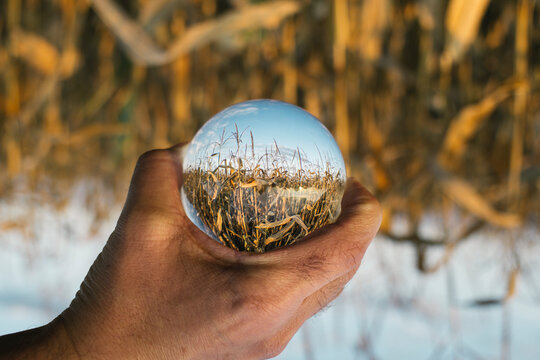 Nature in a ball