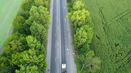 A truck with a container travels on the highway. Shooting from a quadcopter over the cream of trees.