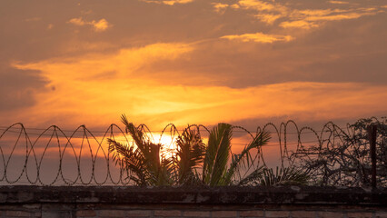 Atardecer con alambre de púas 