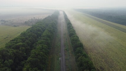 Foggy morning, natural landscape over the railway along forest plantations and agricultural fields.