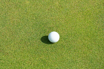 グリーンの上のゴルフボール