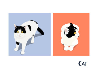 Cat illustration