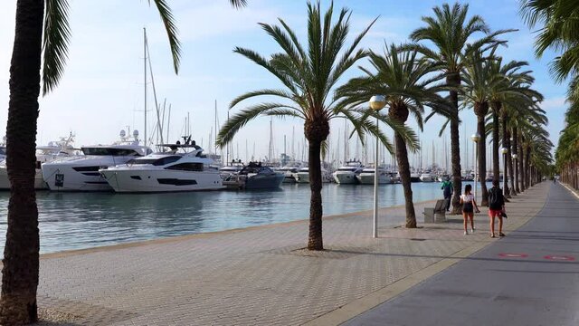 Tourists strolling along the Paseo maritimo at early morning in Palma de Mallorca, Spain. Palm trees and Marina with Luxury yachts in the background.