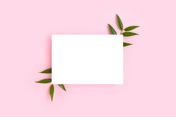 Paper card mockup and green leaves of pistachio on a pink pastel background. Summer concept with copyspace.